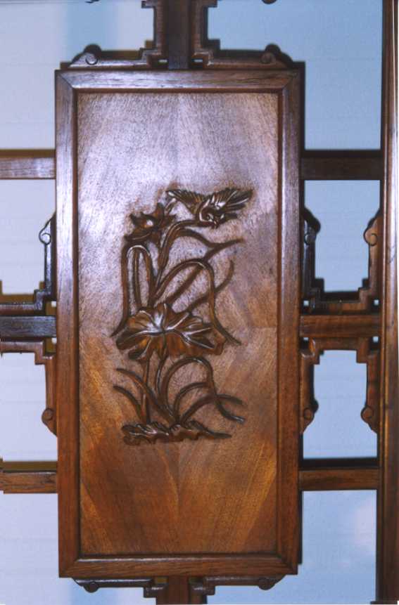 Panel A inset